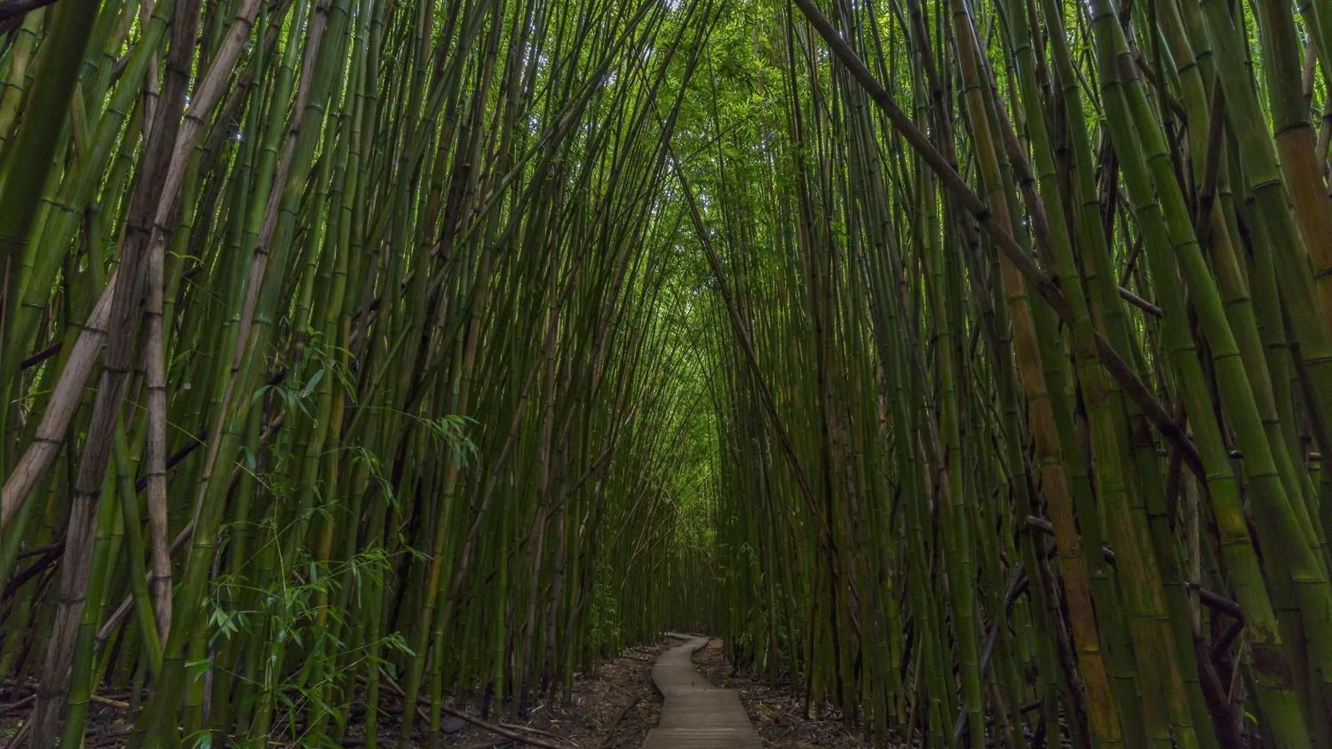 Waiohuli Beach Hale C212 Kihei United States