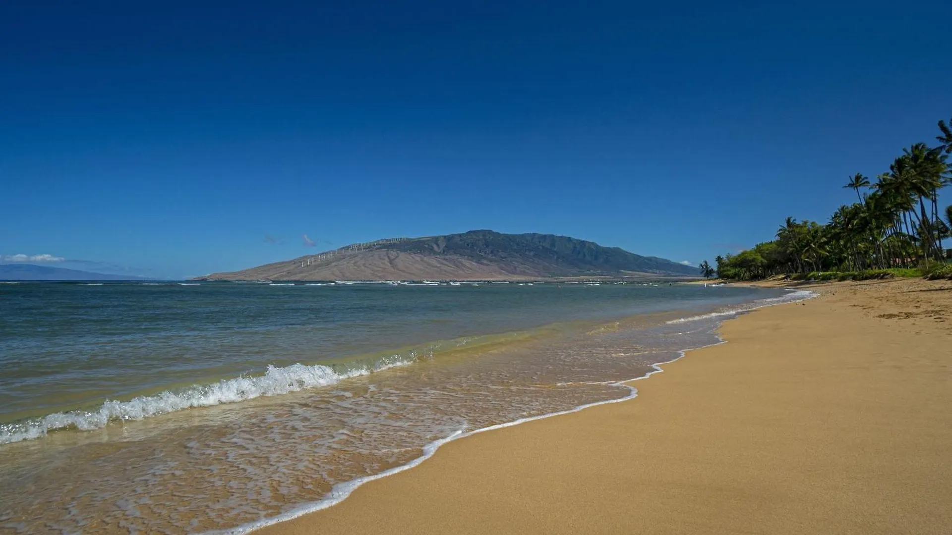 Waiohuli Beach Hale C212 Kihei